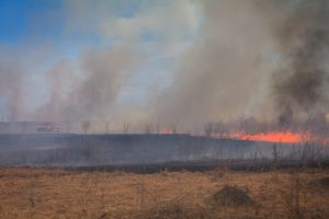 Под Кузнецком выгорело 2 гектара леса