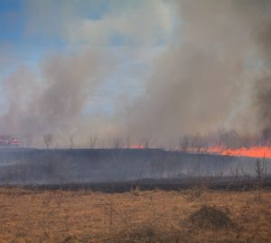 Под Кузнецком выгорело 2 гектара леса