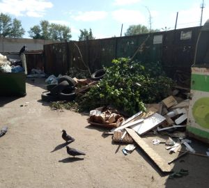 Владимир Путин прокомментировал ход «мусорной реформы»