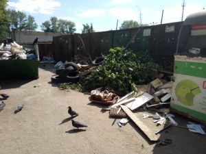 Пенза продолжает тонуть в мусоре. Ильин не замечает?