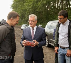 «Ягода выращена на хорошей земле. Она экологически чистая». Иван Белозерцев посетил плантации  «Мокшанской ягоды»