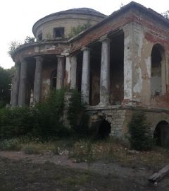 Историческая усадьба Воейкова в Каменке стала местом ЧП с ребенком