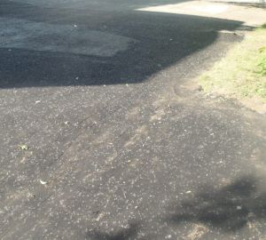 Сергей Палювин помог школе №69 с асфальтированием территории к последнему звонку