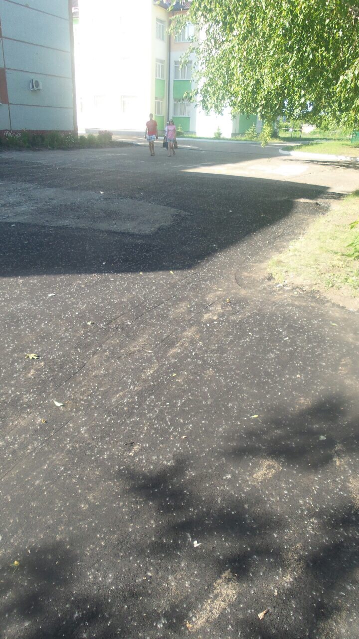 Сергей Палювин помог школе №69 с асфальтированием территории к последнему звонку