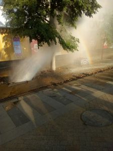 На Центральной улице Пензы забил фонтан. Где Ильин?