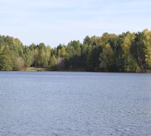 Пензенцам пообещали 34 пляжа до конца июня