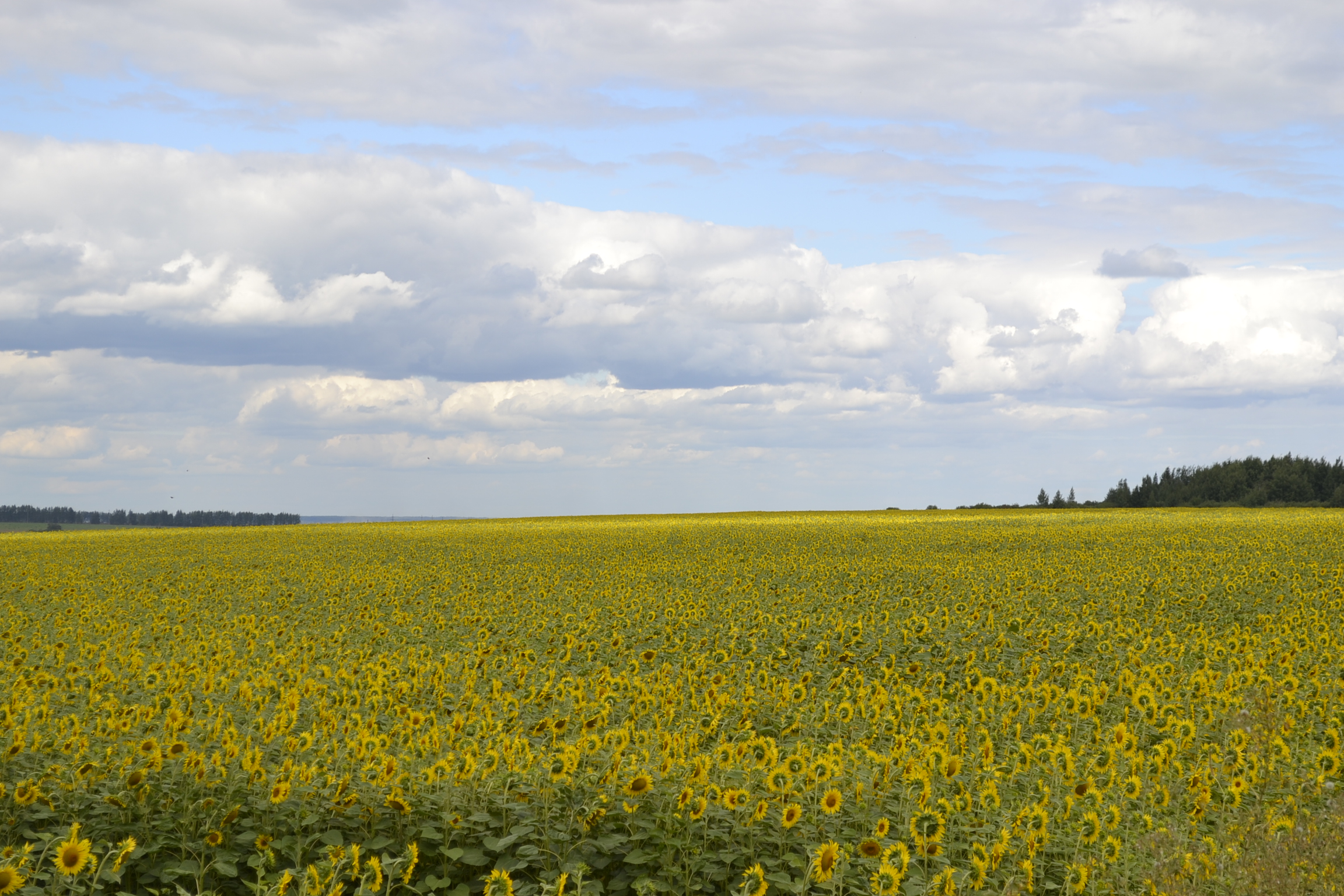 В Минсельхозе призвали к повышению зарплат сотрудникам отрасли