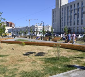 Кто виноват в гибели газона на площади Ленина