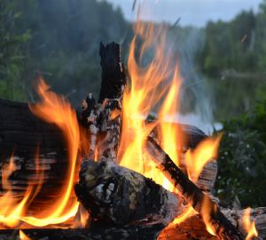 Пензенская полиция возбудила уголовное дело по факту поджога жилого дома в селе рядом с Чемодановкой