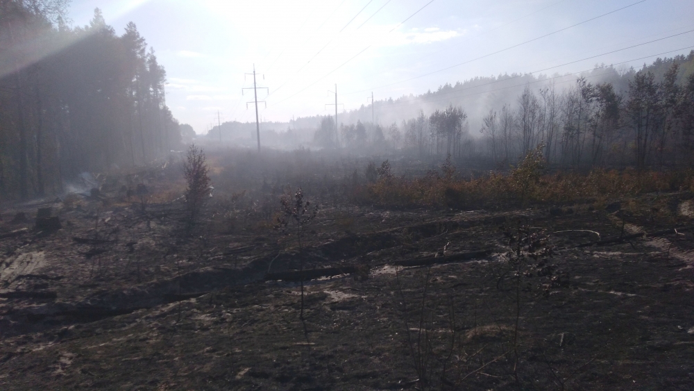 В Пензе три дня не могут потушить пожар в железнодорожном районе