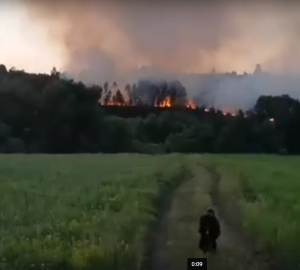 Лесной пожар в Кузнецке произошел по вине населения?