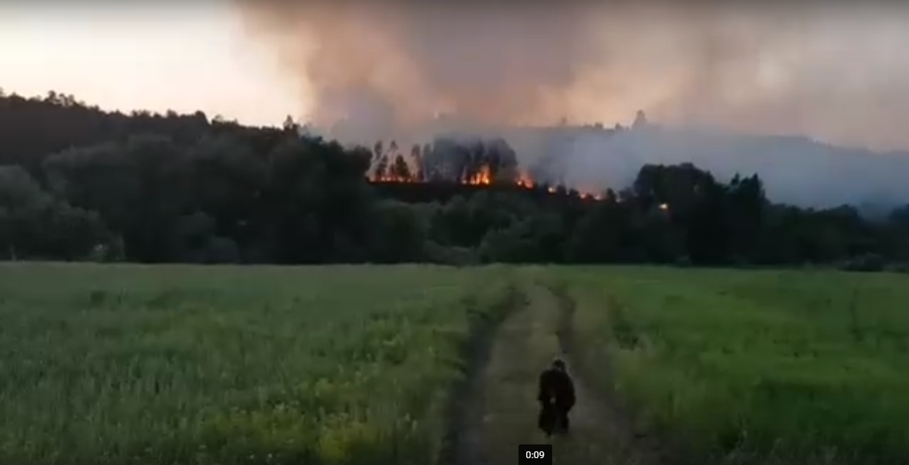 Лесной пожар в Кузнецке произошел по вине населения?