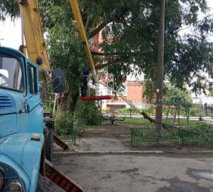 В Ленинском районе Пензы опилили деревья и обновили детские песочницы