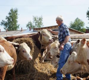 Пензенская область существенно улучшила показатели по животноводству