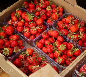 В России установят льготную ставку НДС для плодово-ягодной продукции