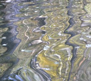 В Пензе водоканал оштрафовали за зловонную воду. Вопрос с детсадами остается открытым