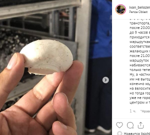 Сердобск стал общероссийским центром выращивания шампиньонов