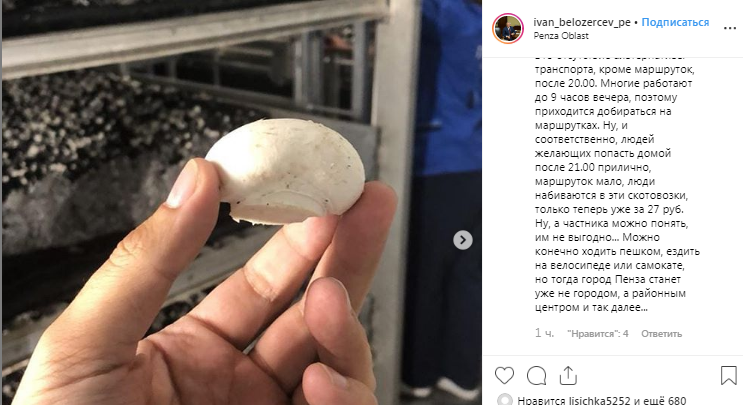 Сердобск стал общероссийским центром выращивания шампиньонов