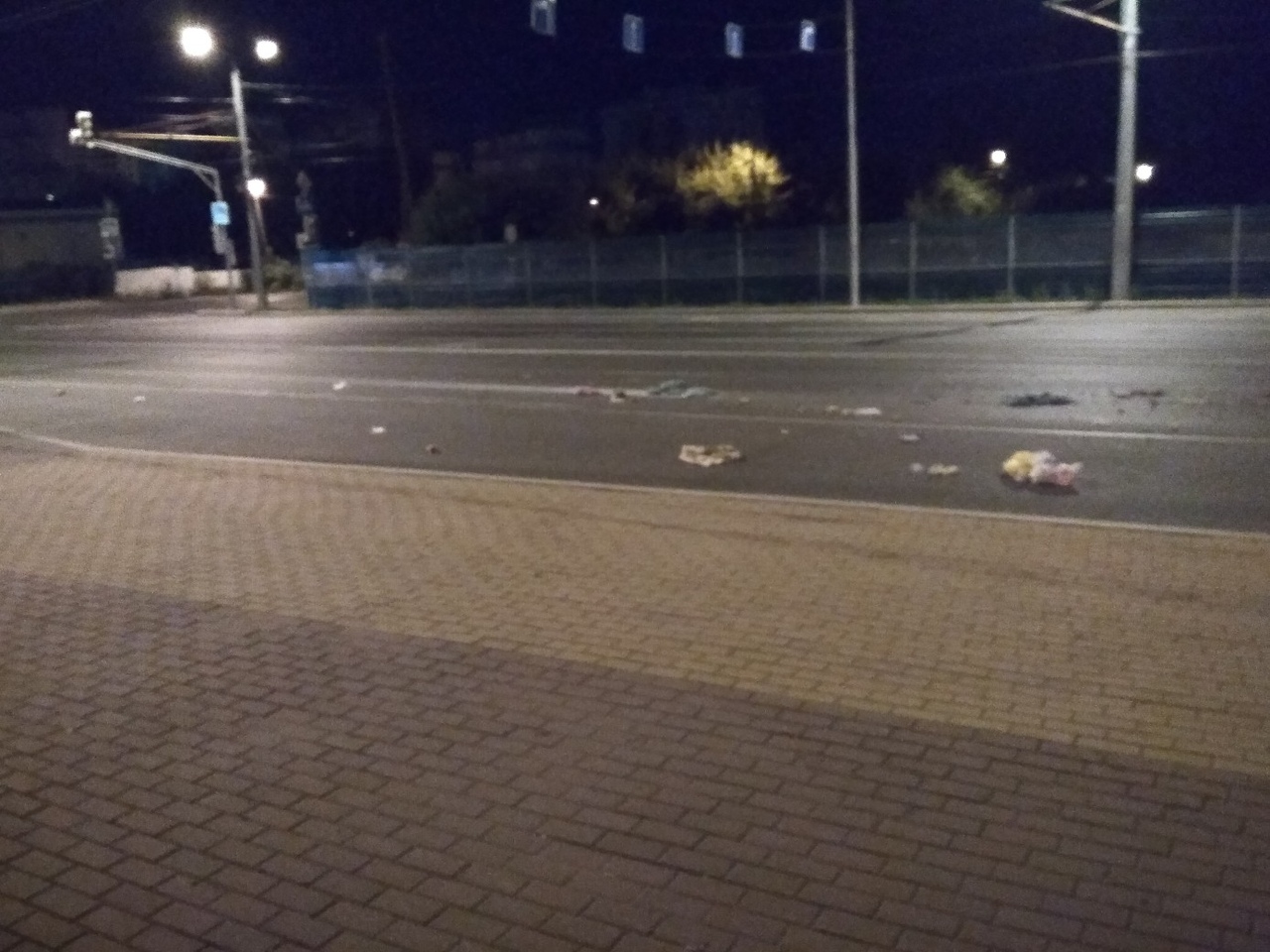 Улица Терновского в Пензе покрылась ровным слоем мусора