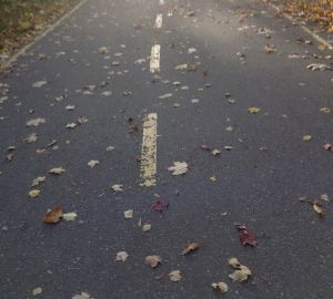 Девушке-таксисту из Кузнецка пассажир угрожал топором