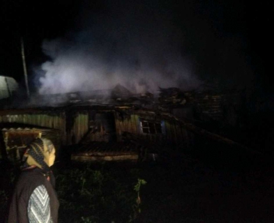 В ночном пожаре в Иссе погиб мужчина