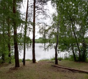 Жители Пензы чаще других  становятся "жертвами" клещей