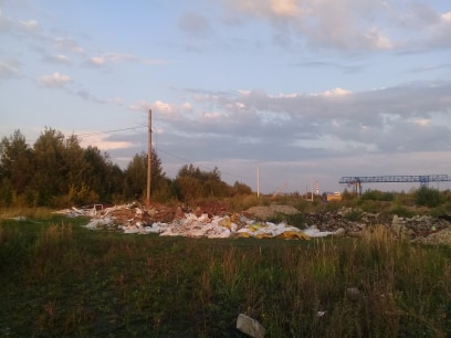 Мегасвалка в Терновке: выполнит ли пензенская администрация поручение президента и собственное обещание?