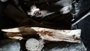 Убил родного брата поленом: расследованием семейной трагедии в Пензенской области занимаются следователи