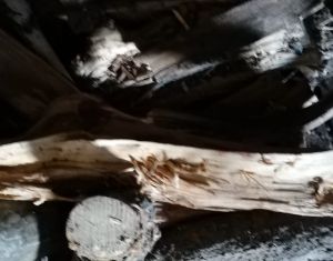 Убил родного брата поленом: расследованием семейной трагедии в Пензенской области занимаются следователи