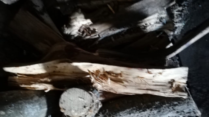 Убил родного брата поленом: расследованием семейной трагедии в Пензенской области занимаются следователи