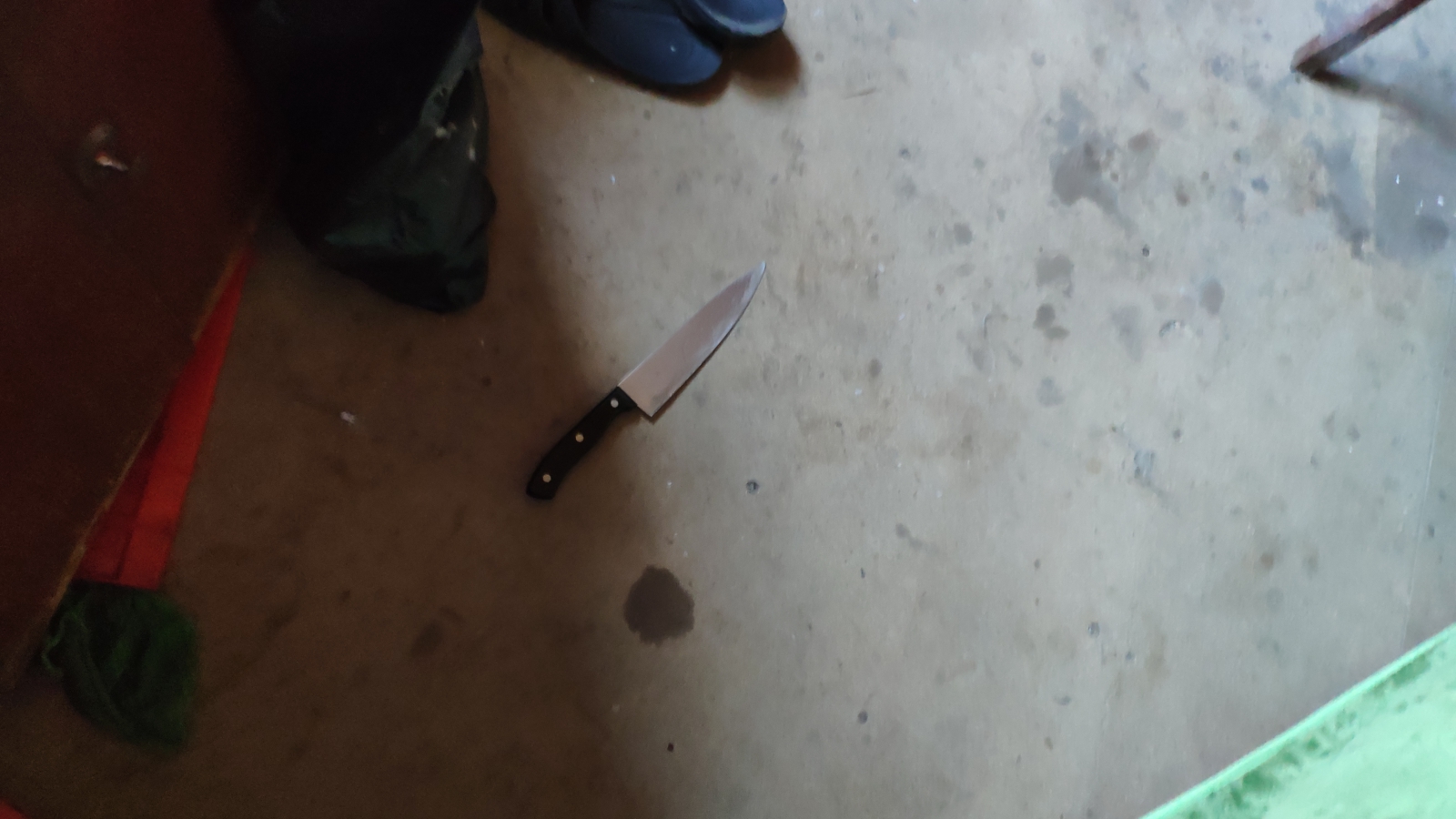 Житель Бессоновки убил престарелую мать своей возлюбленной