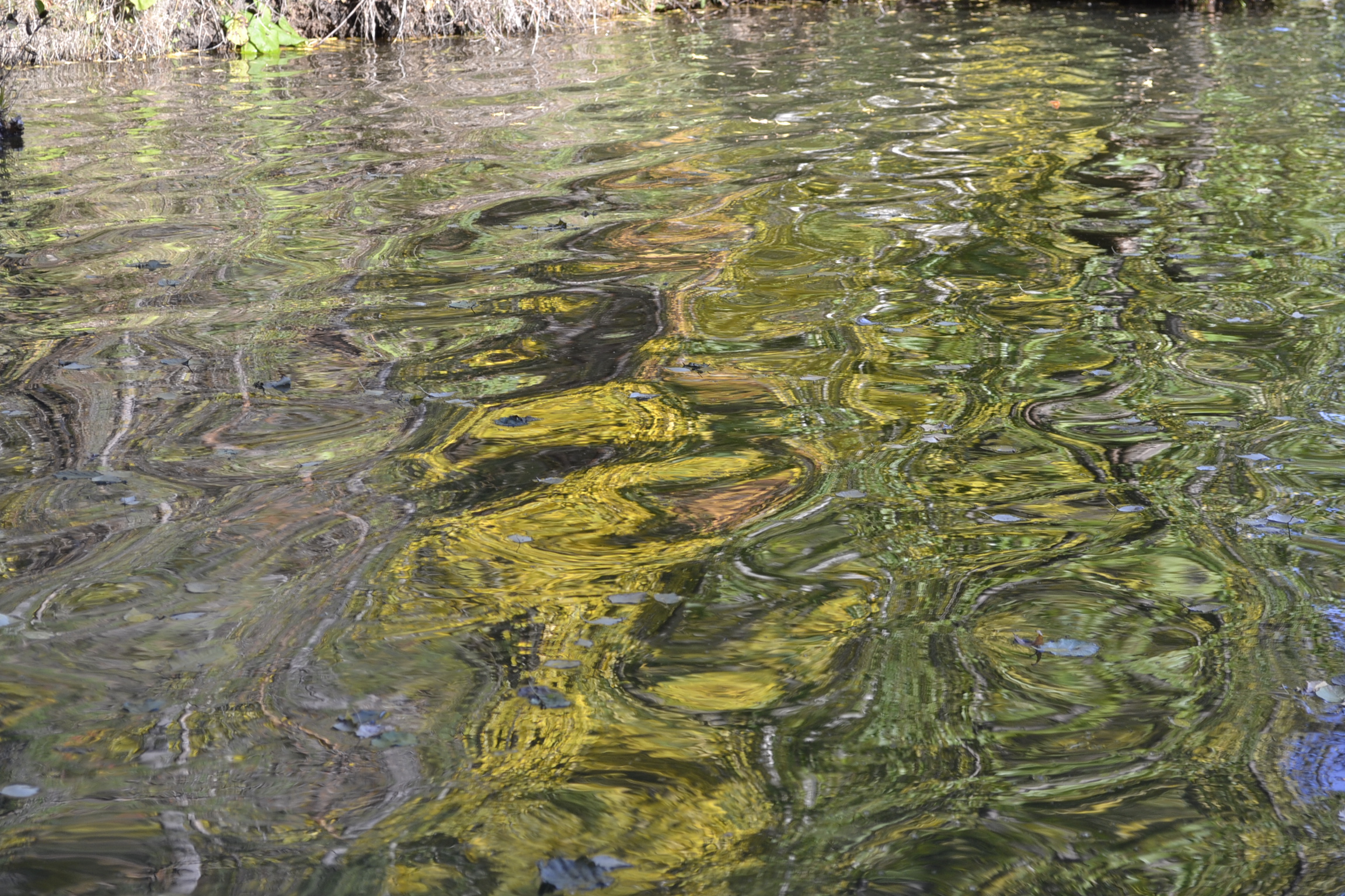ООО «Горводоканал» облил грязной водой пензенских журналистов