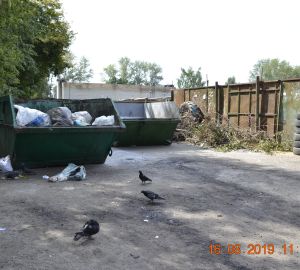 В Пензенской области определили размер штрафов за мусор на контейнерных площадках