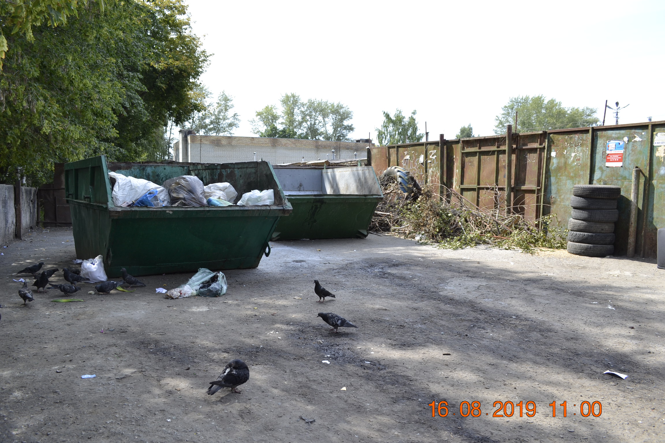 В Пензенской области определили размер штрафов за мусор на контейнерных площадках