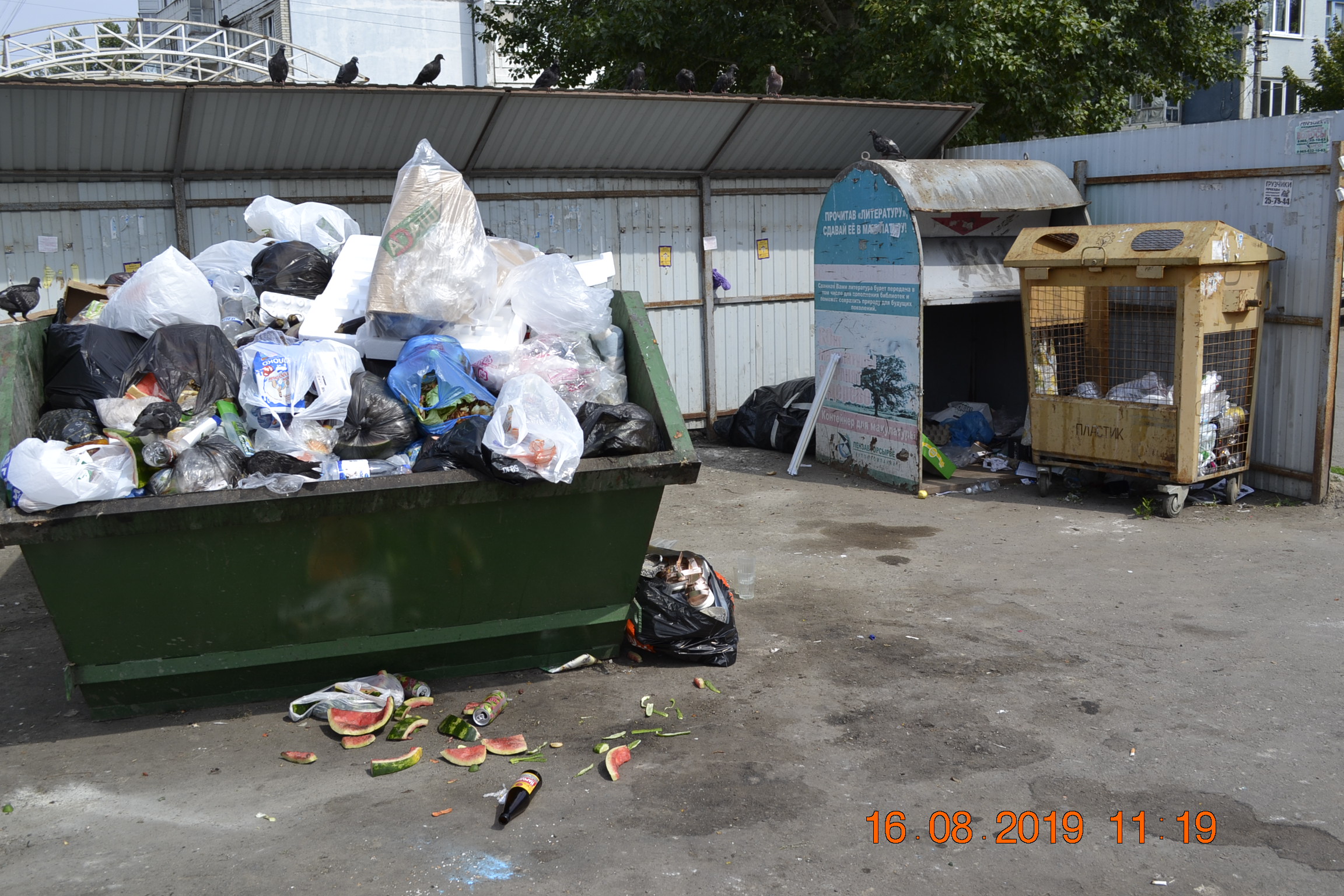 Губернатор Иван Белозерцев распорядился благоустроить площадки для сбора ТКО