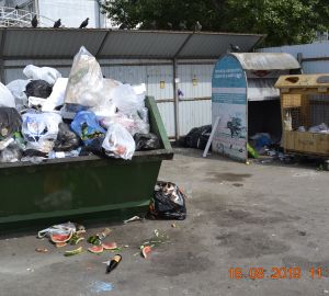 Пензенская прокуратура не видит проблем с контейнерными площадками в Пензе. Как поправить «зрение» и решить проблему?