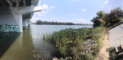 Тело пропавшего без вести пензенца нашли в Суре