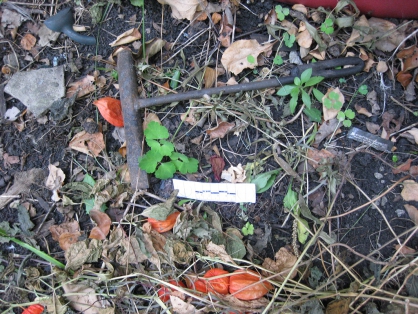 В Пензе «тесть» нашел труп своего «зятя» на дачном участке