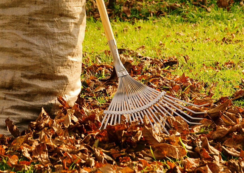 Жителей региона приглашают на субботник