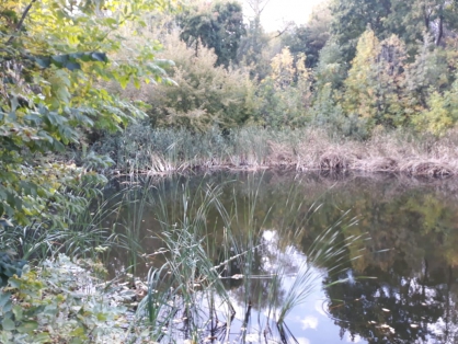 В следственном комитете прокомментировали гибель парня на болотах в Сердобске