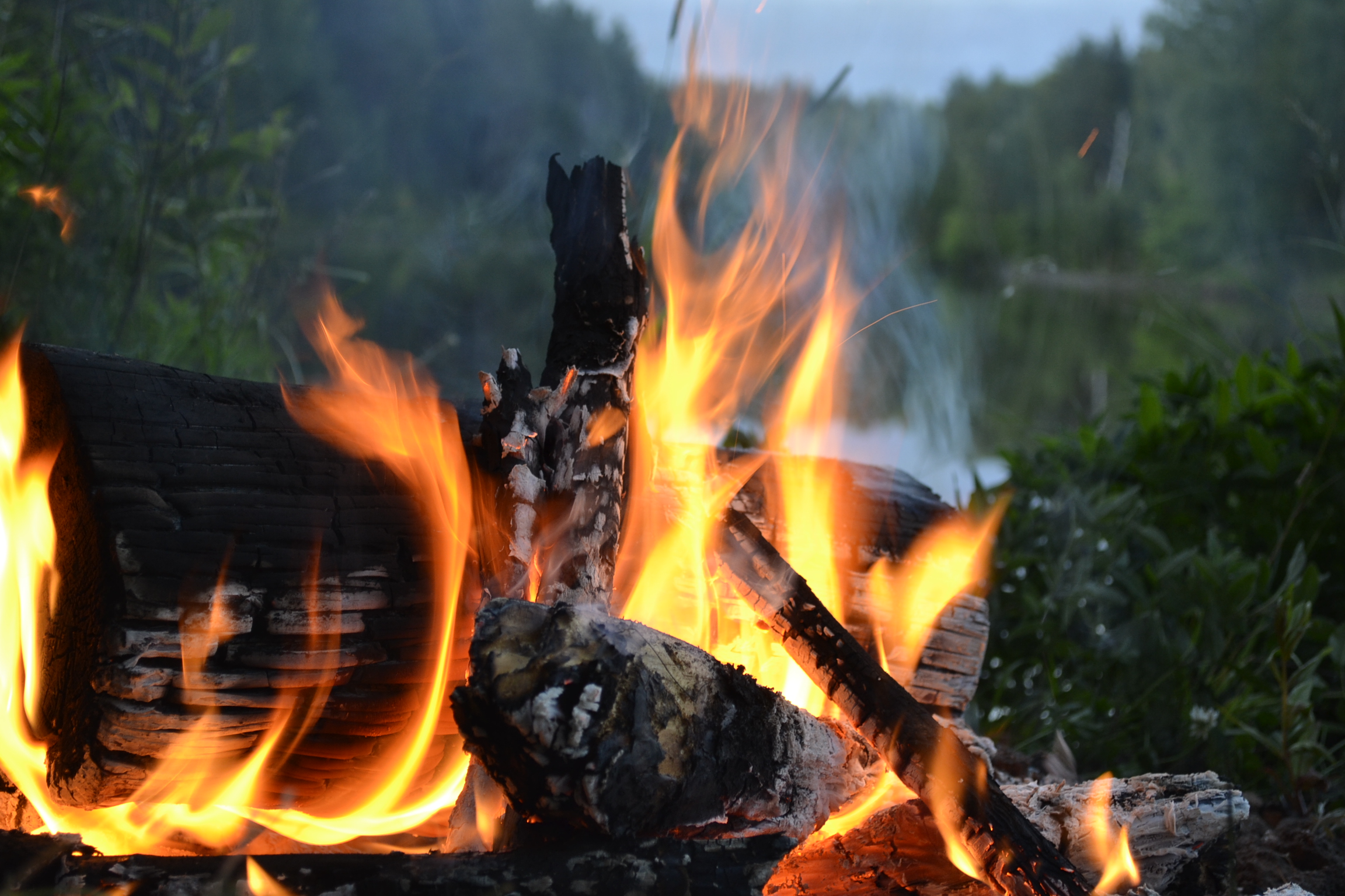 Пензенец погиб в пожаре на даче