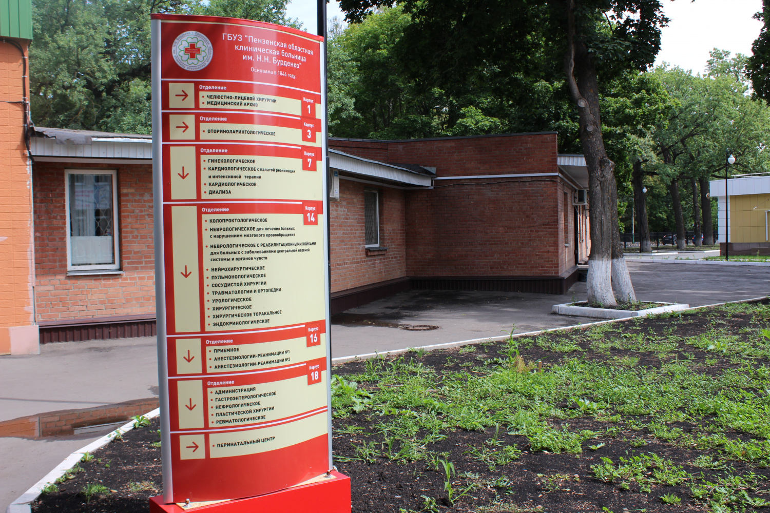 Столичные специалисты проведут мастер-класс для пензенских врачей