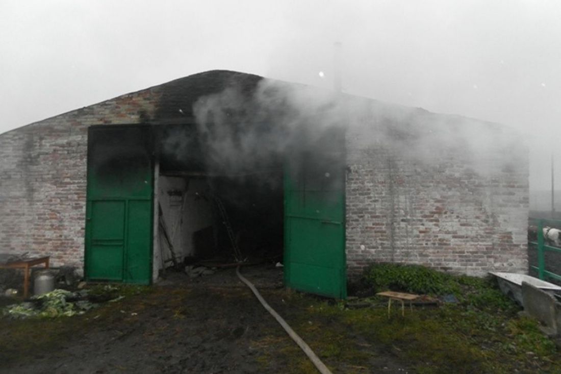 В Пензенской области на пожаре погиб сторож и сельскохозяйственные животные