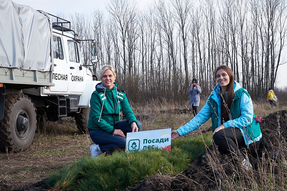 В Пензенской области высадили более 25 тысяч деревьев