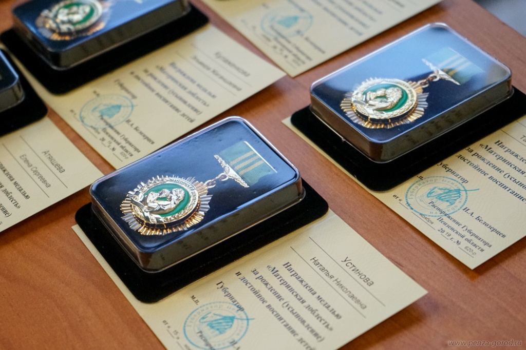 Многодетным мамам Пензы вручили медали «Материнская доблесть»