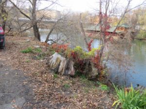 В Пензе пройдут областные соревнования по настольным спортивным играм среди инвалидов