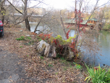 В Пензе пройдут областные соревнования по настольным спортивным играм среди инвалидов