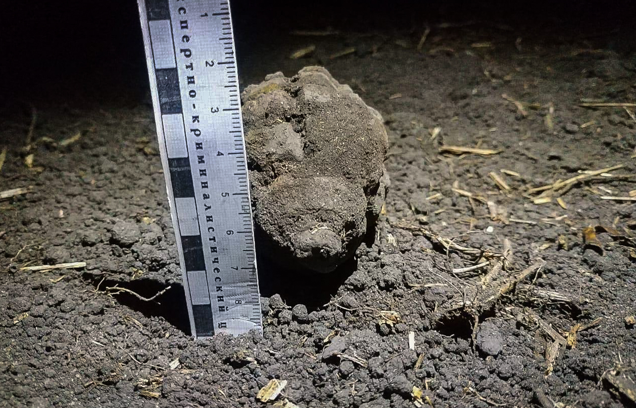 Сердобчане нашли в огороде гранату времен ВОВ