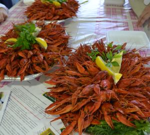 Можно ли прожить на 9953 рубля? В Пензенской области установят размер прожитого минимума