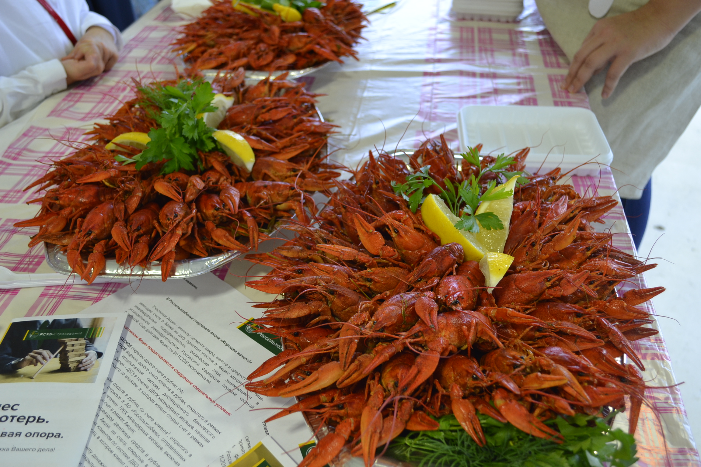 Можно ли прожить на 9953 рубля? В Пензенской области установят размер прожитого минимума